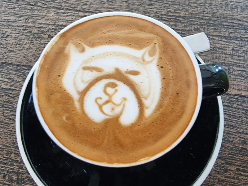 Dots Coffee - Image 7