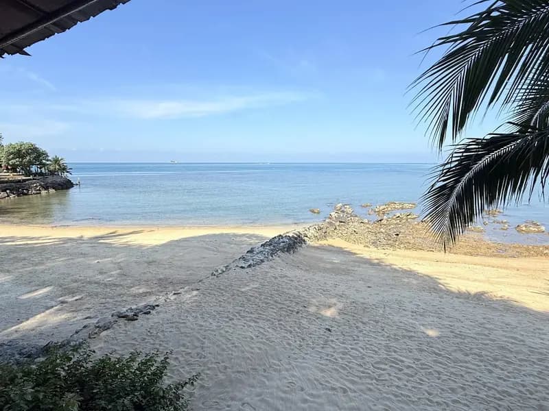 Holina Rehab - Image 8