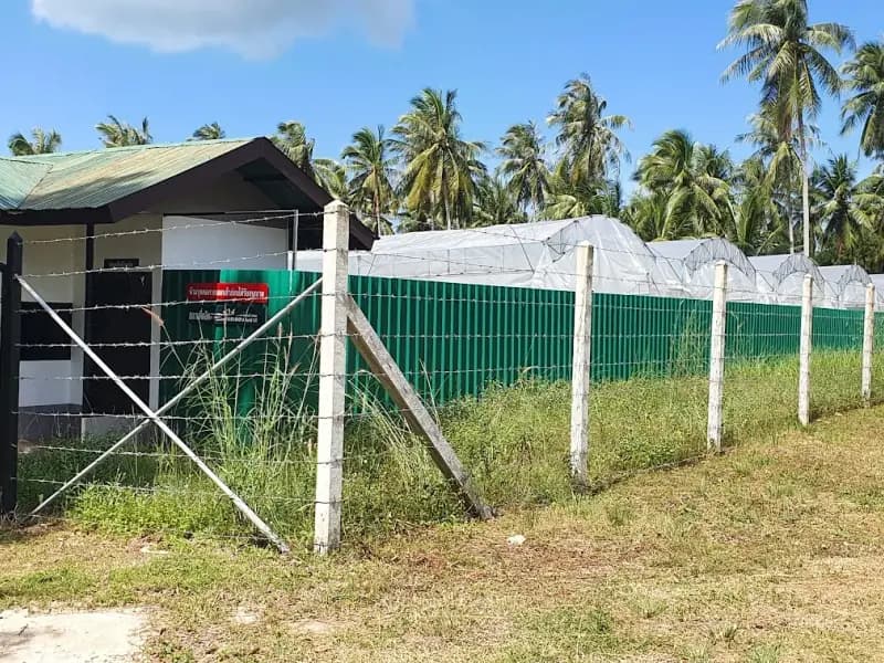 Koh Phangan Hospital - Image 3