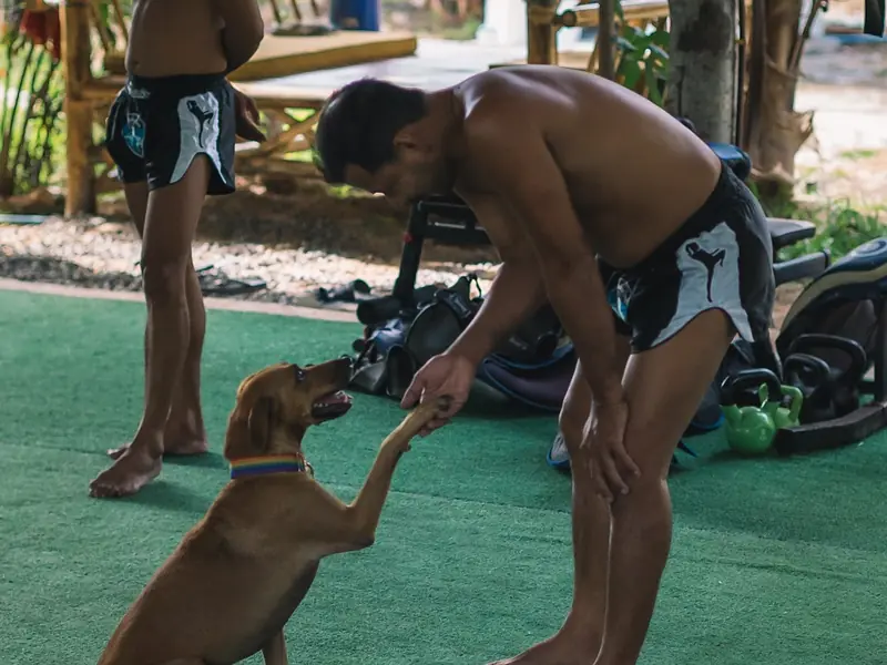 Rittisak Muay Thai Gym - Image 9