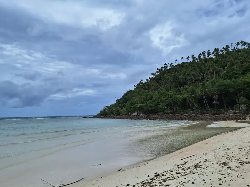 Salad Beach - Image 6