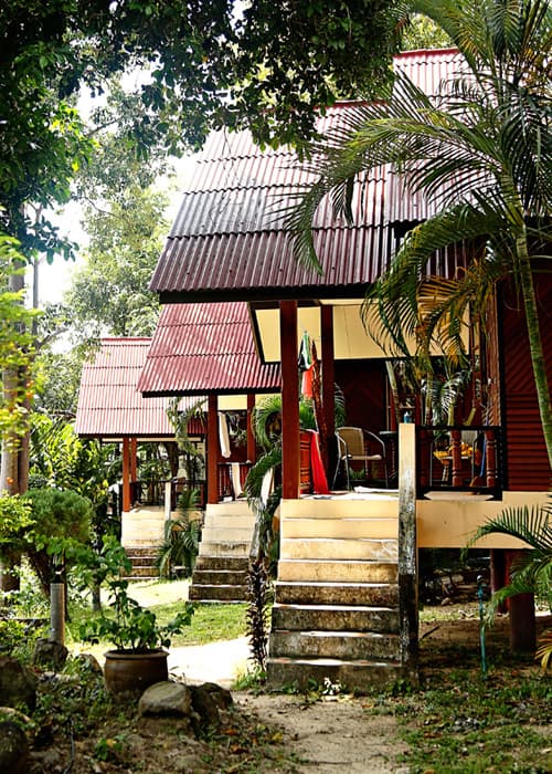 Samma Karuna - Image 3
