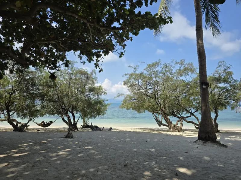 Sarikantang - Image 10