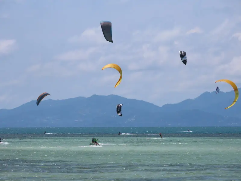 Siam Pro Kite - Image 4