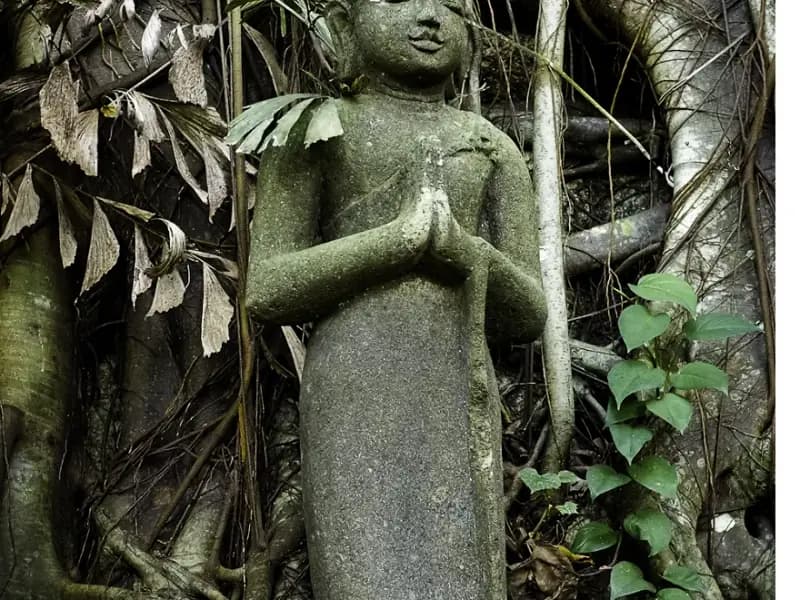 The Sanctuary - Image 3