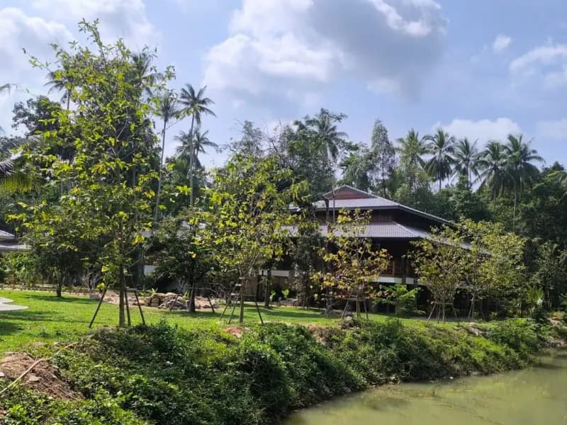 The Yoga House