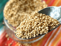 Quinoa