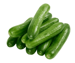 Cucumber