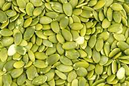 Pumpkin Seed