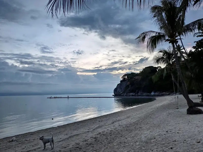 Cocohut Beach Resort - Image 9