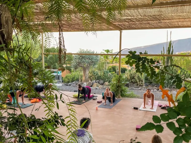 La Casa Shambala - Image 10