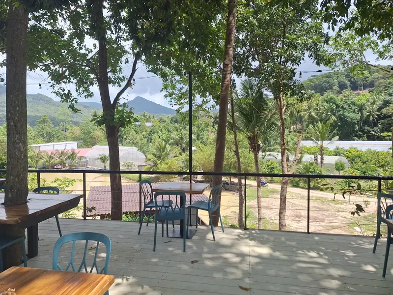 Loyfa Organic Farm - Image 4
