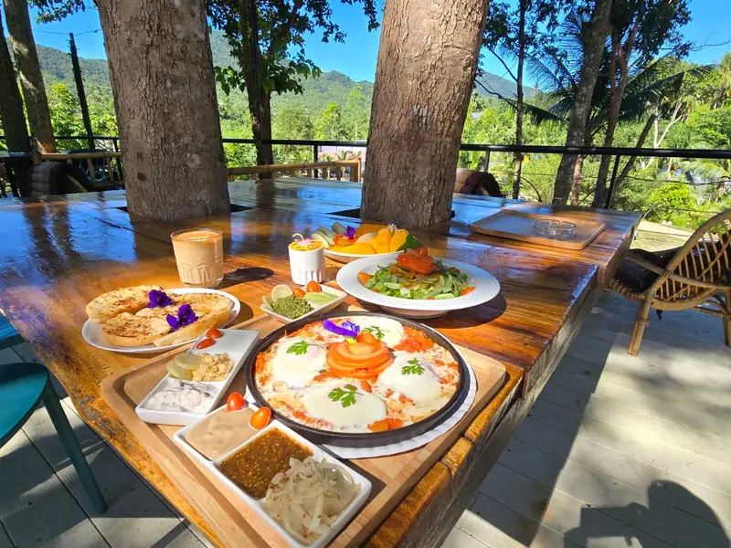 Loyfa Organic Farm - Image 5