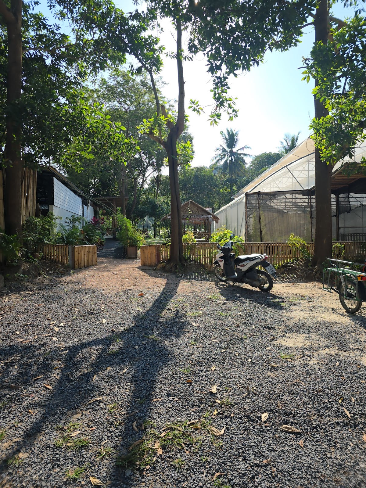 Loyfa Organic Farm - Image 6
