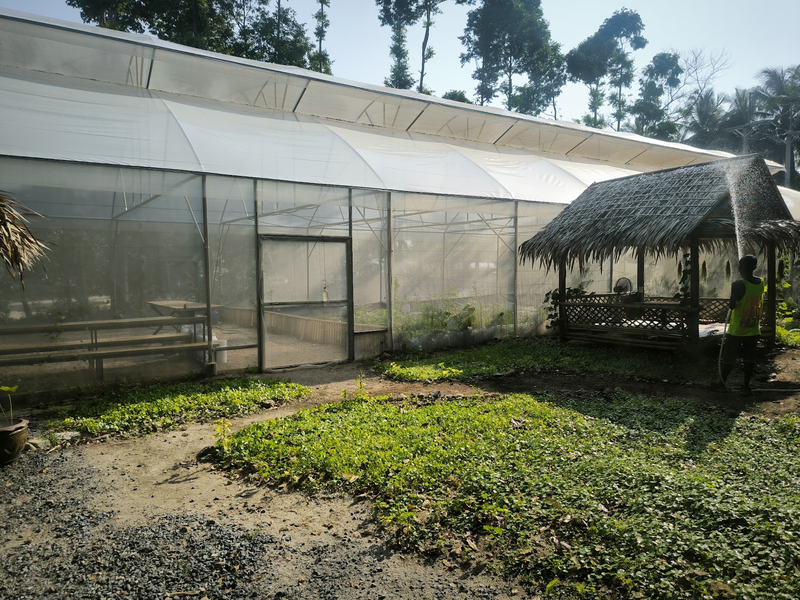 Loyfa Organic Farm - Image 7