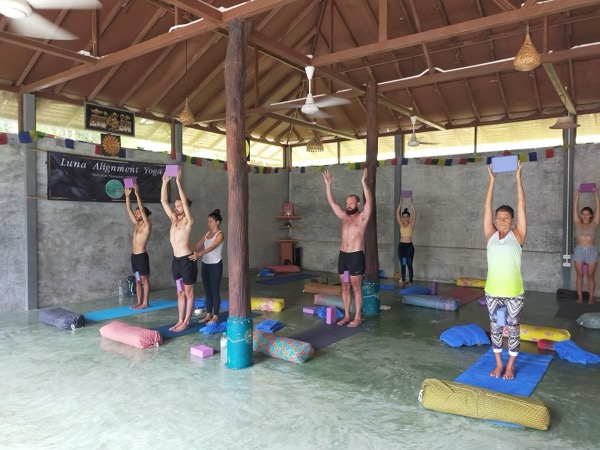 Luna Alignment Yoga - Image 2