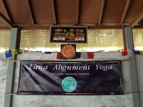 Luna Alignment Yoga - Image 6