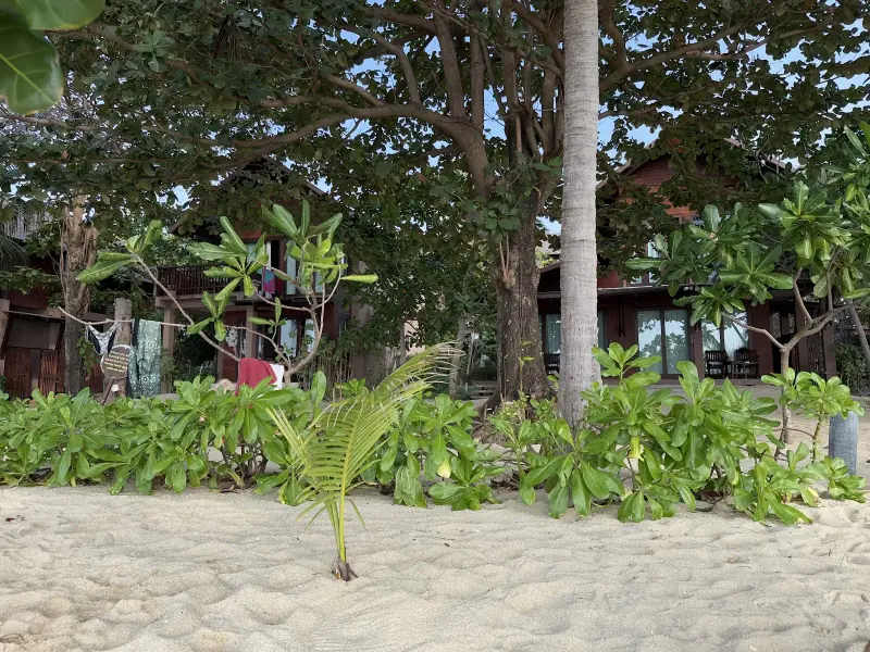 Mae Haad Beach - Image 10