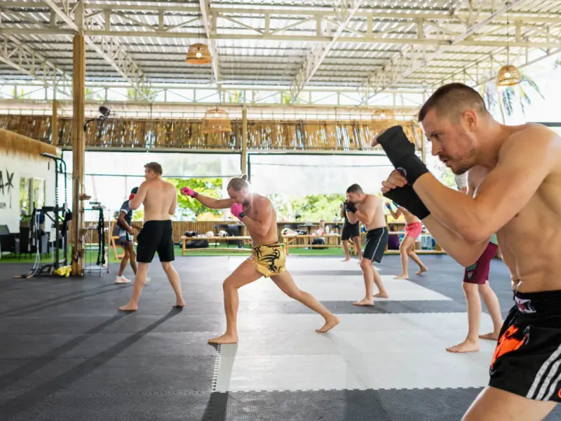Martial Arts Academy - Image 8