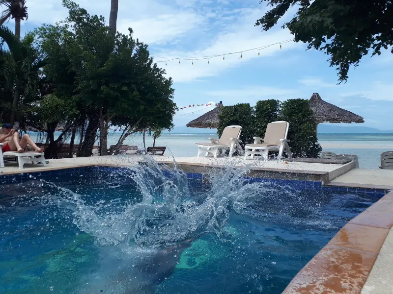 Milky Bay Resort - Image 6