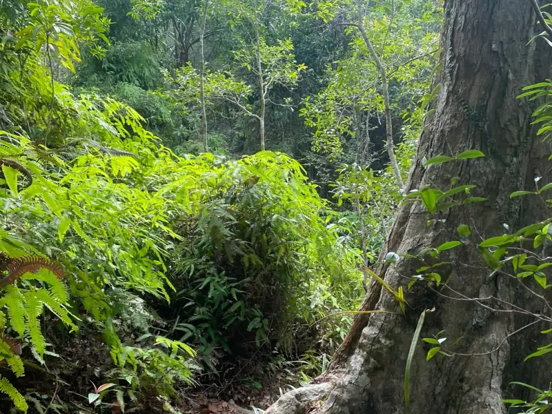 Namtok Than Sadet National Park - Image 4