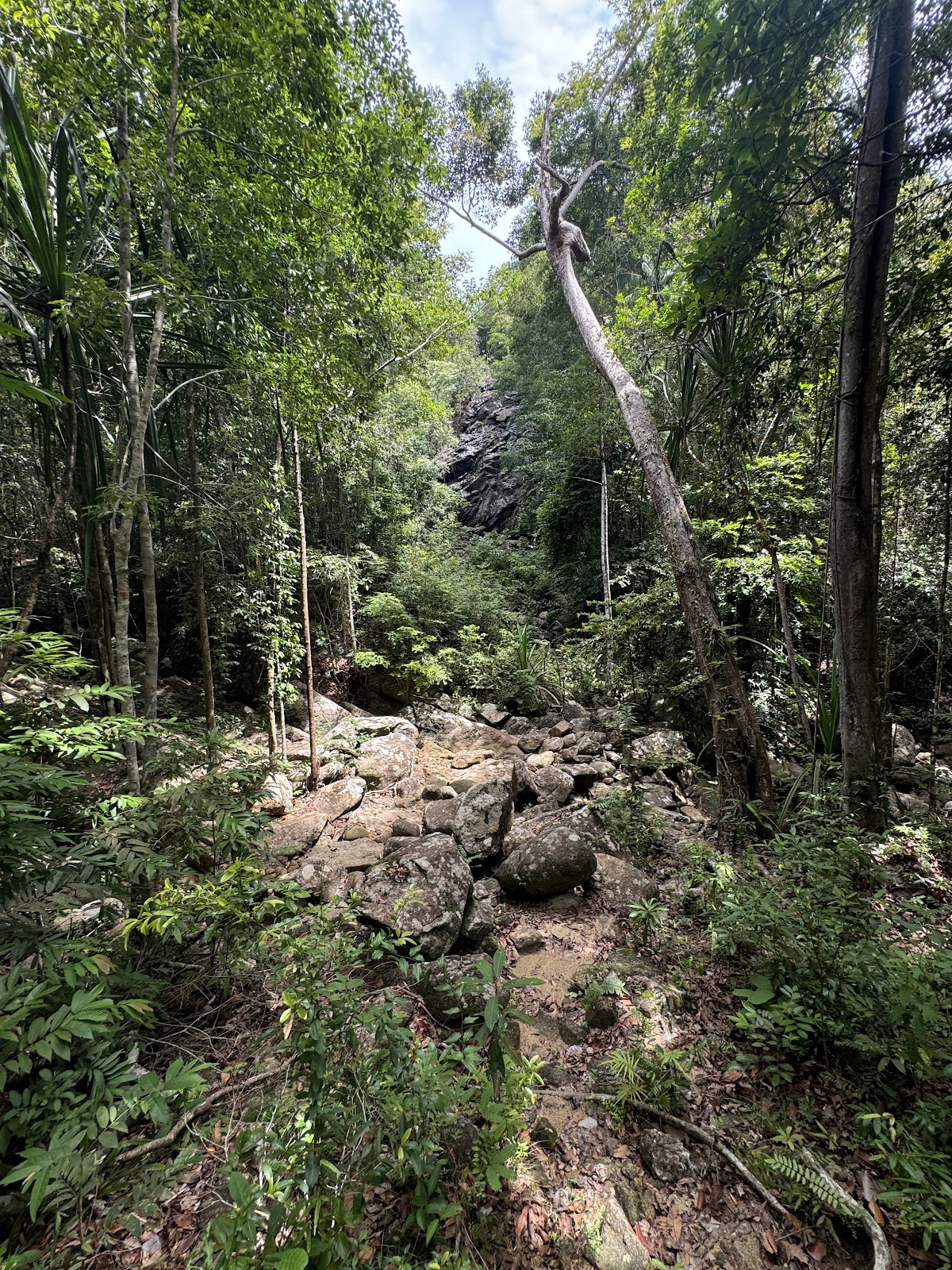 Paradise Waterfall - Image 4