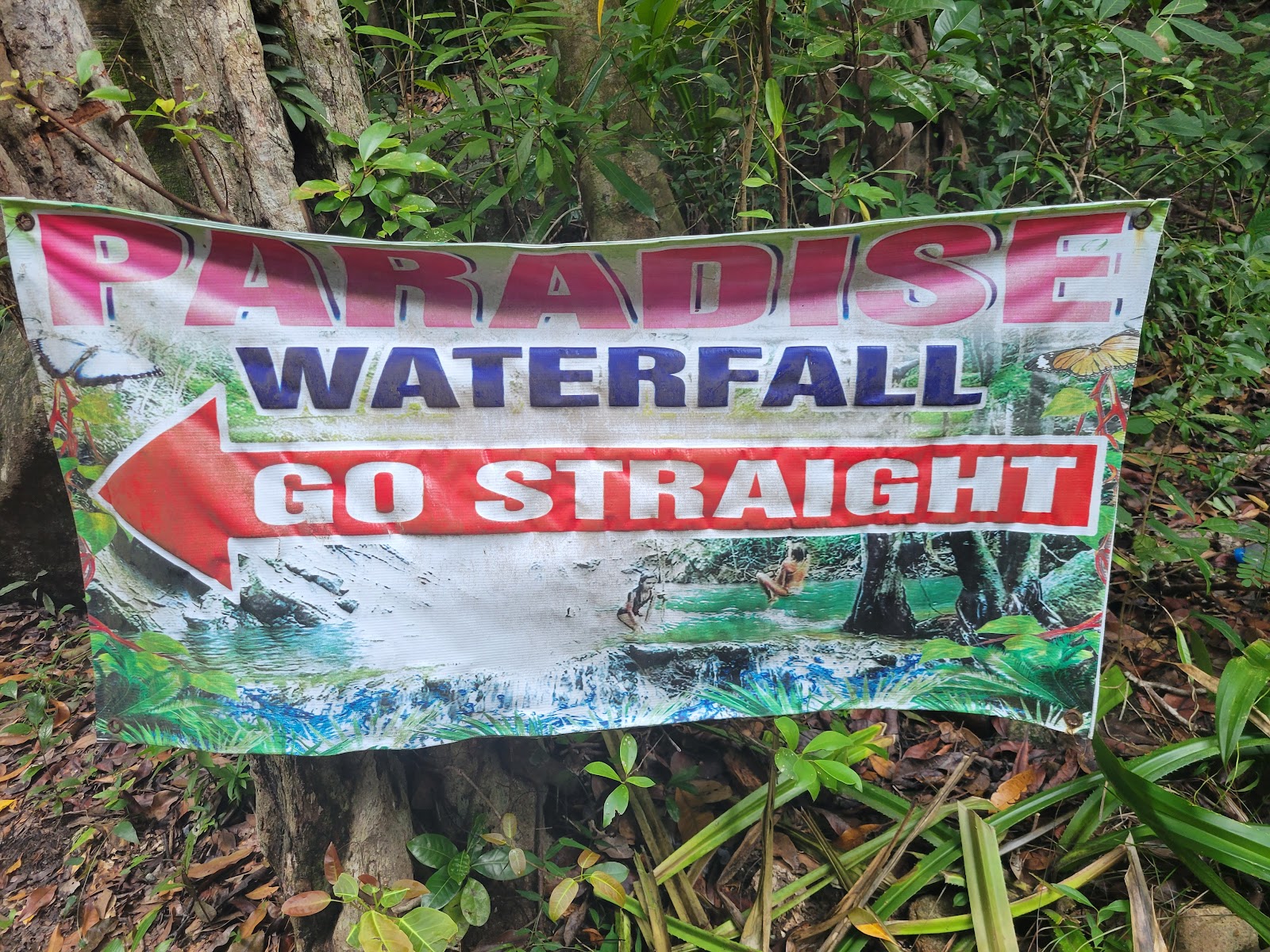 Paradise Waterfall - Image 5