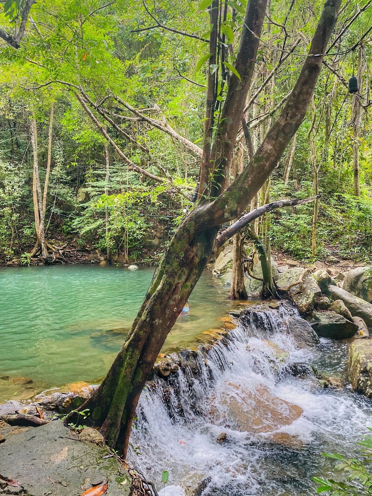 Paradise Waterfall - Image 8