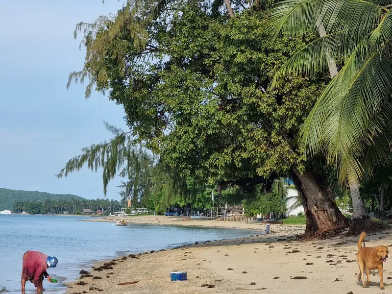 Phangan Beach Resort - Image 8