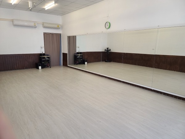 Pole Dance Studio - Image 9