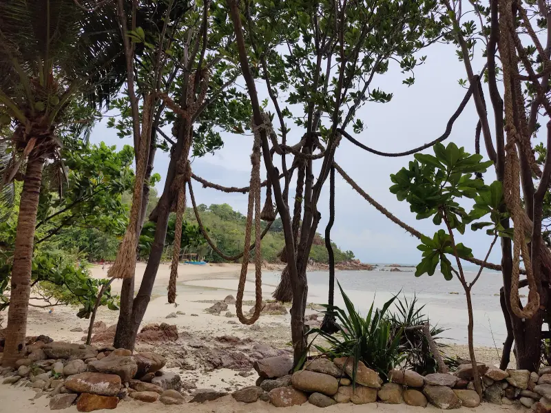 Secret Beach - Image 10