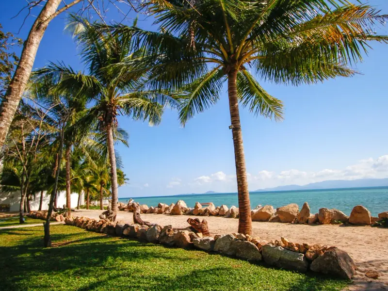 Summer Resort - Image 8