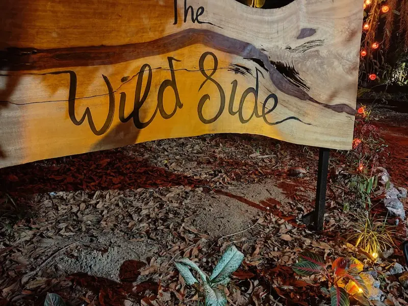 The Wild Side - Bar & Cocktails - Image 8