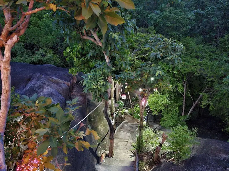 Top Rock Bar - Image 7
